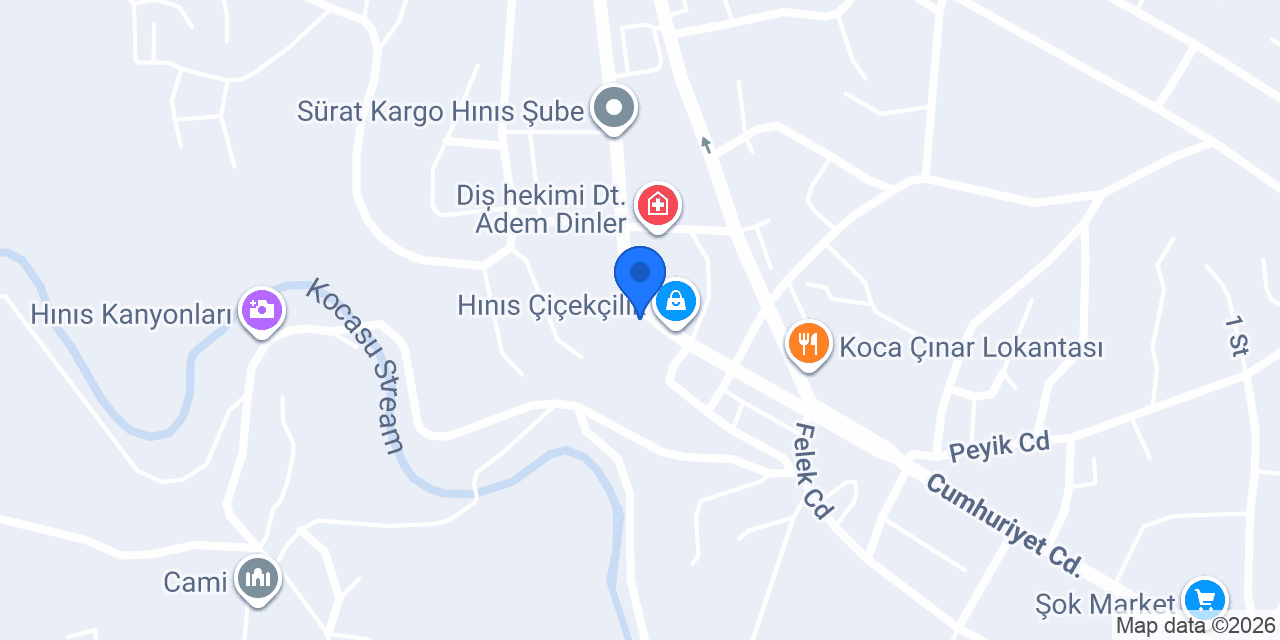 HINIS SİDELYA ÇİÇEK EVİ konumu