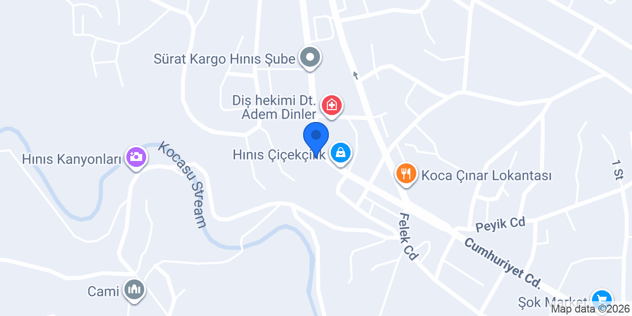 Ziraat Bankası Hınıs Şubesi konumu