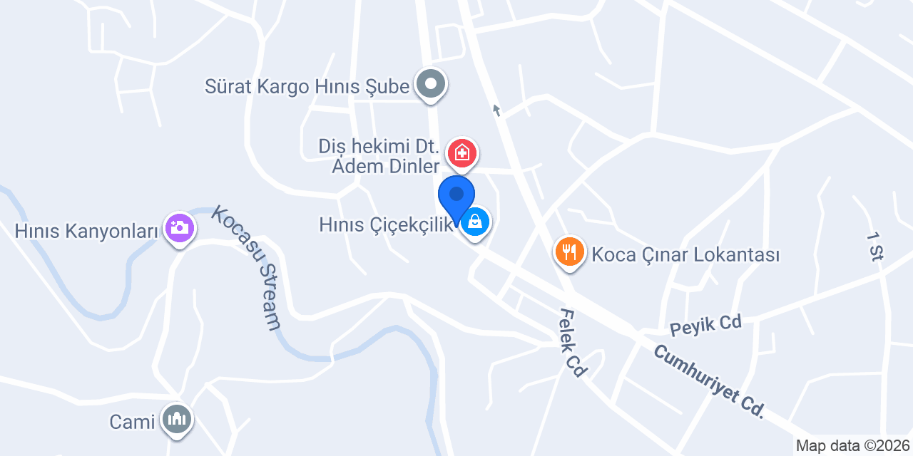 Avşin Fotoğrafçılık konumu