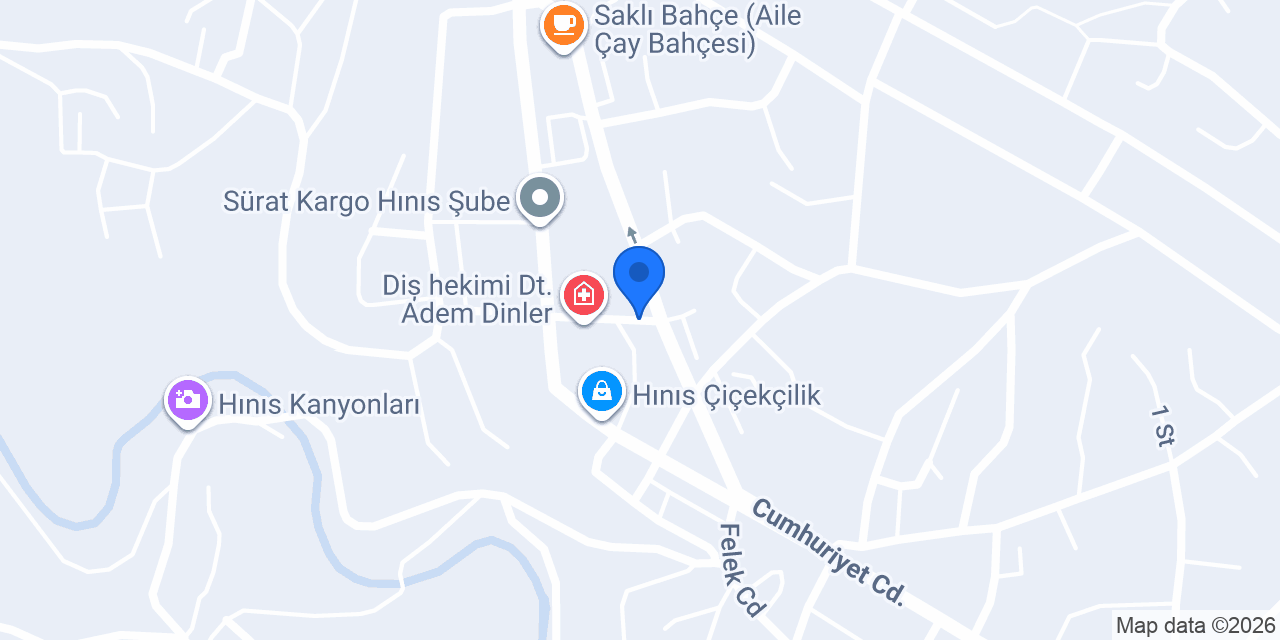Hınıs Emlak konumu