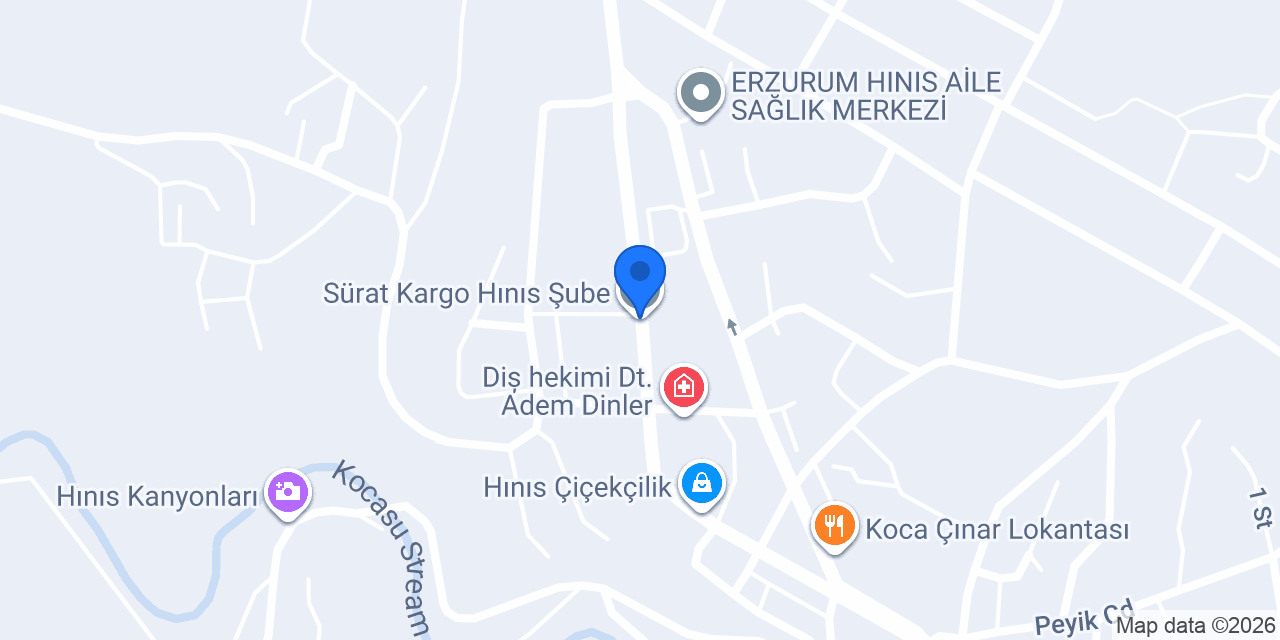 Sürat Kargo Hınıs Şube konumu