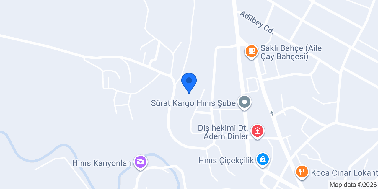 Hınıs Taksi konumu