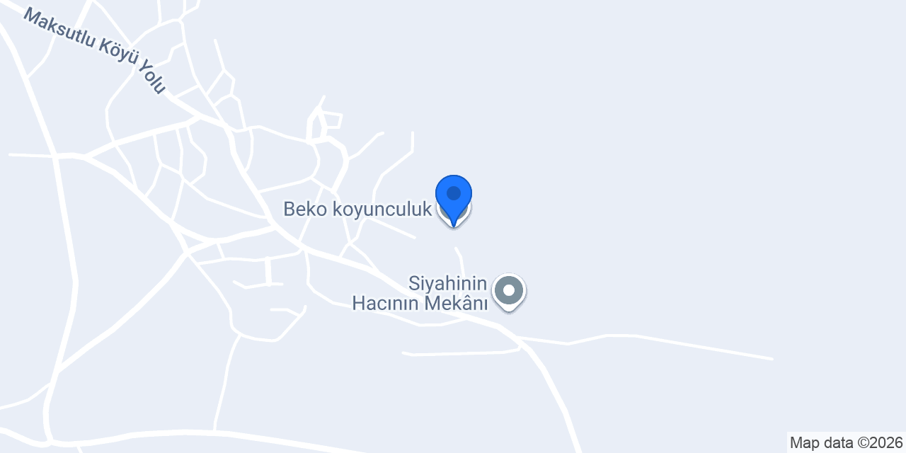 Beko koyunculuk konumu