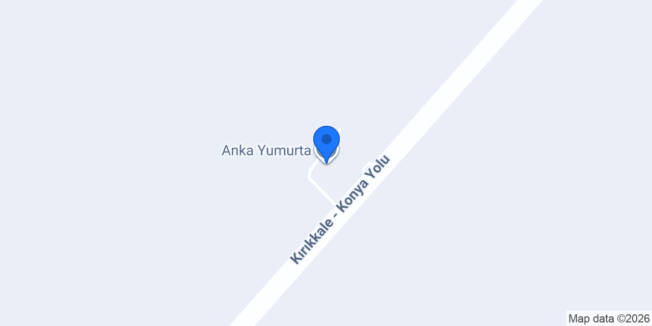 Anka Yumurta konumu