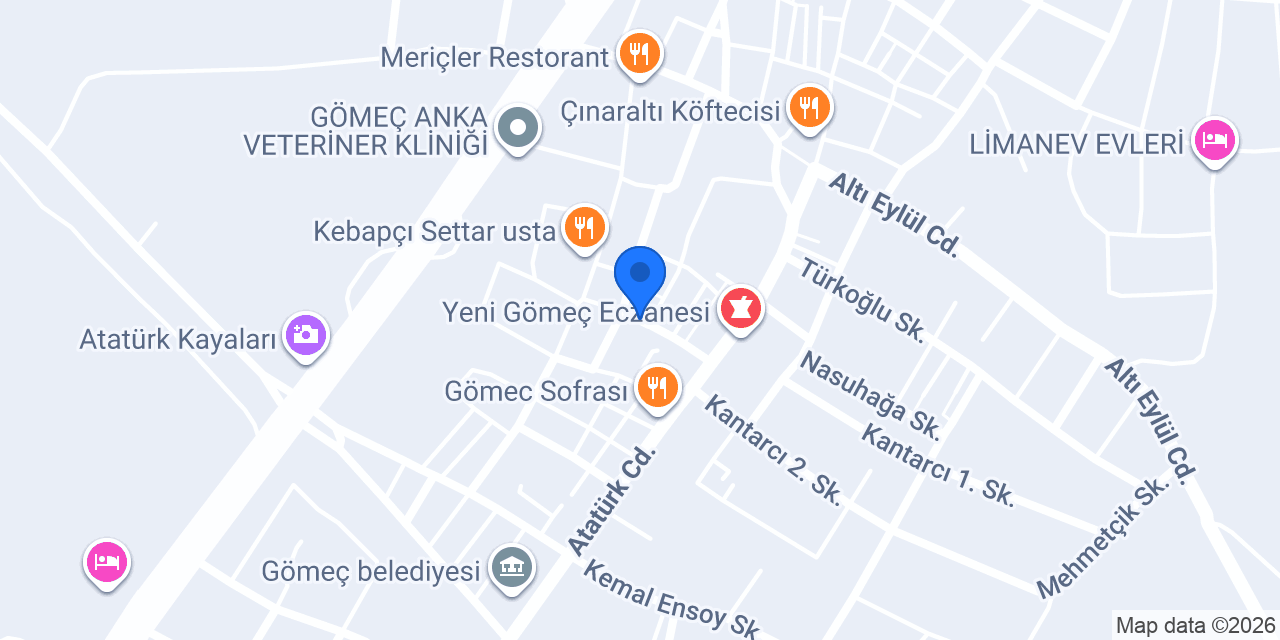 Altınkılıç Gıda konumu