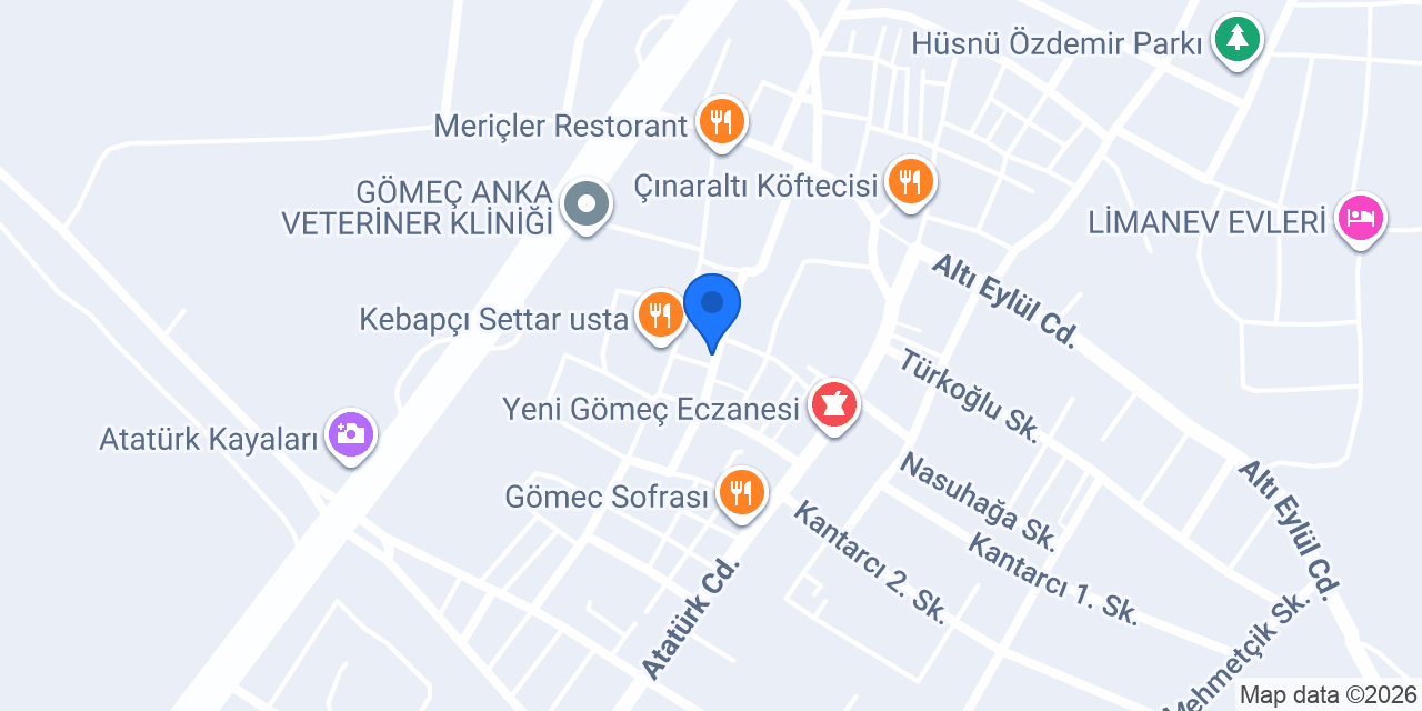 Gömeç Köy Emlak konumu