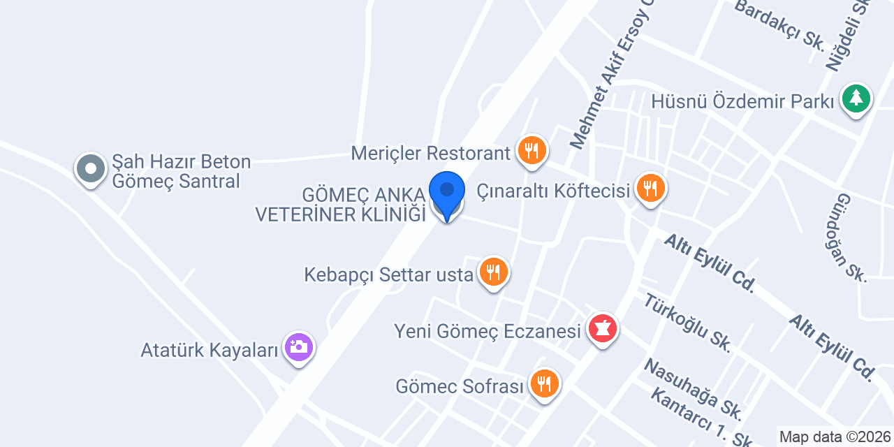 GÖMEÇ ANKA VETERİNER KLİNİĞİ konumu
