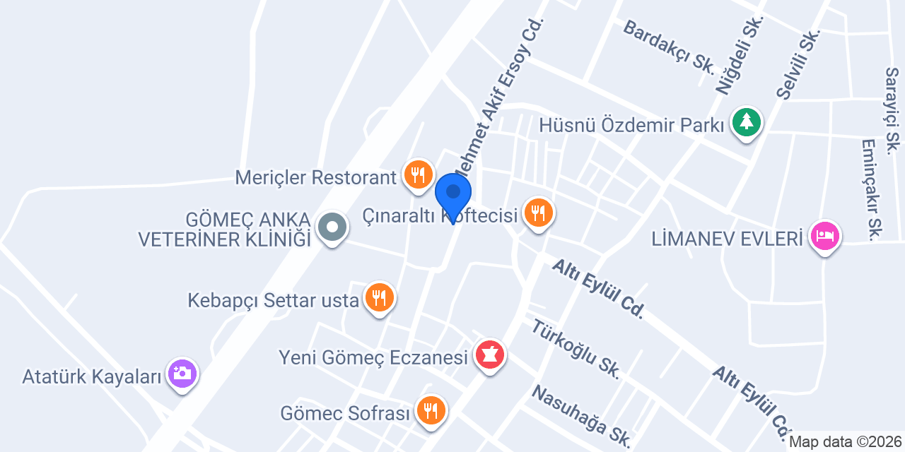 Gömeç Mavi Veteriner Kliniği konumu