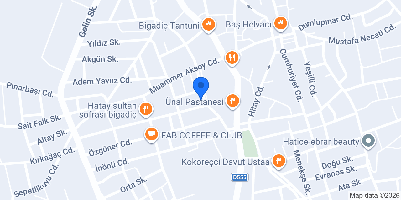 Enis Elektrik konumu