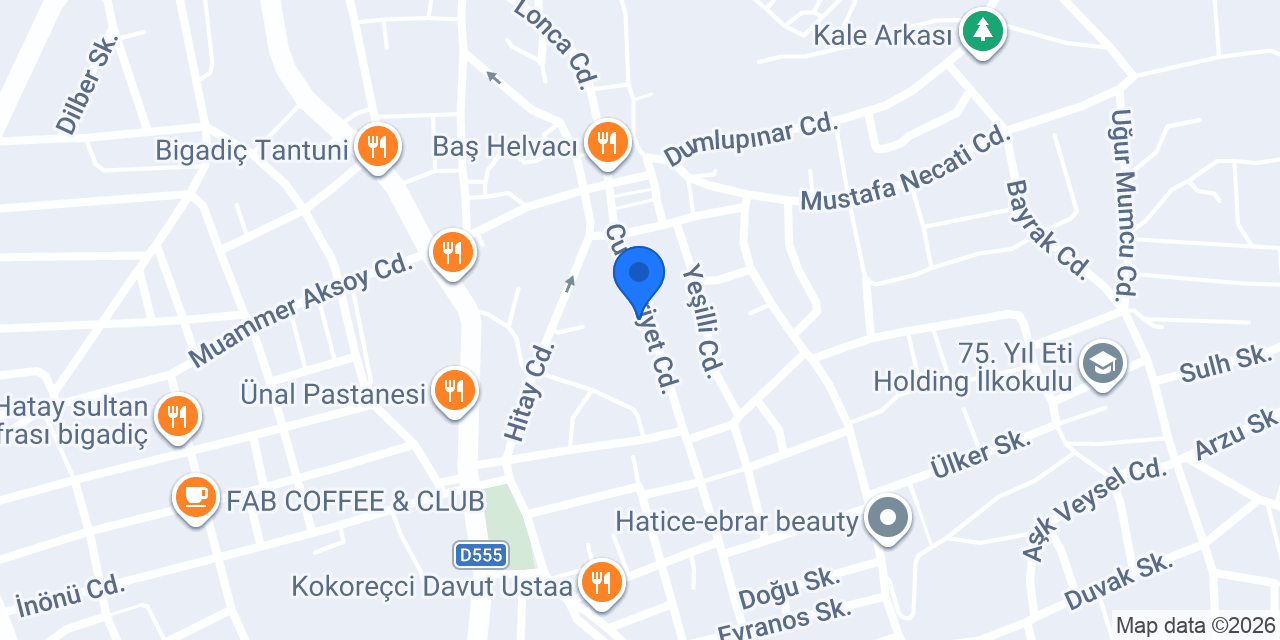 Bor Elektronik konumu