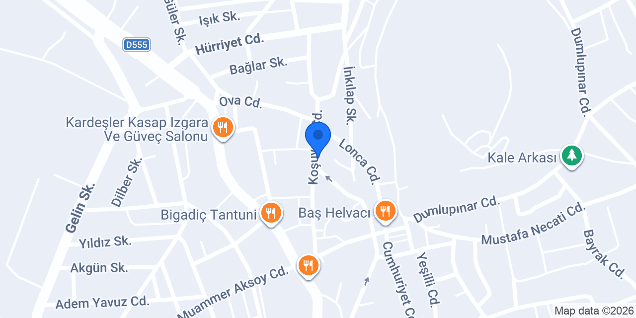 Altinlar Elektronik konumu