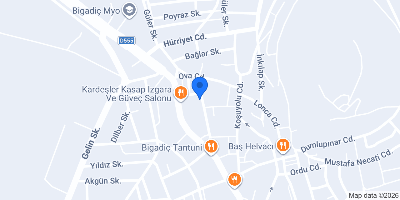 Özser Neo Sigorta Bigadiç şubesi konumu