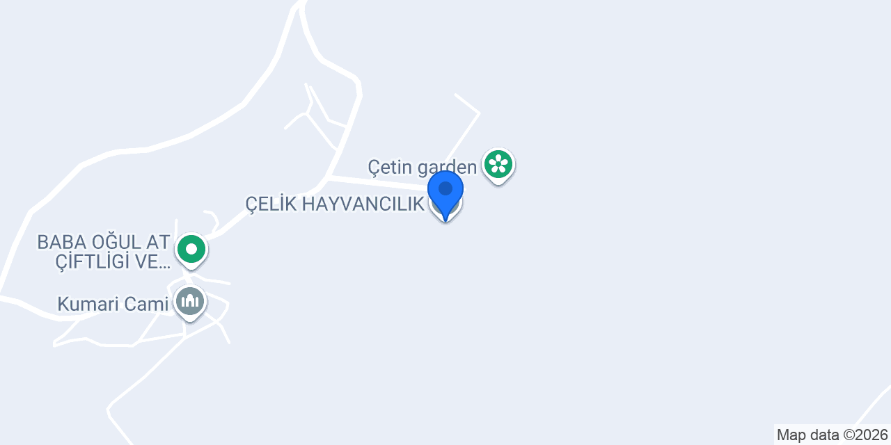 ÇELİK HAYVANCILIK konumu