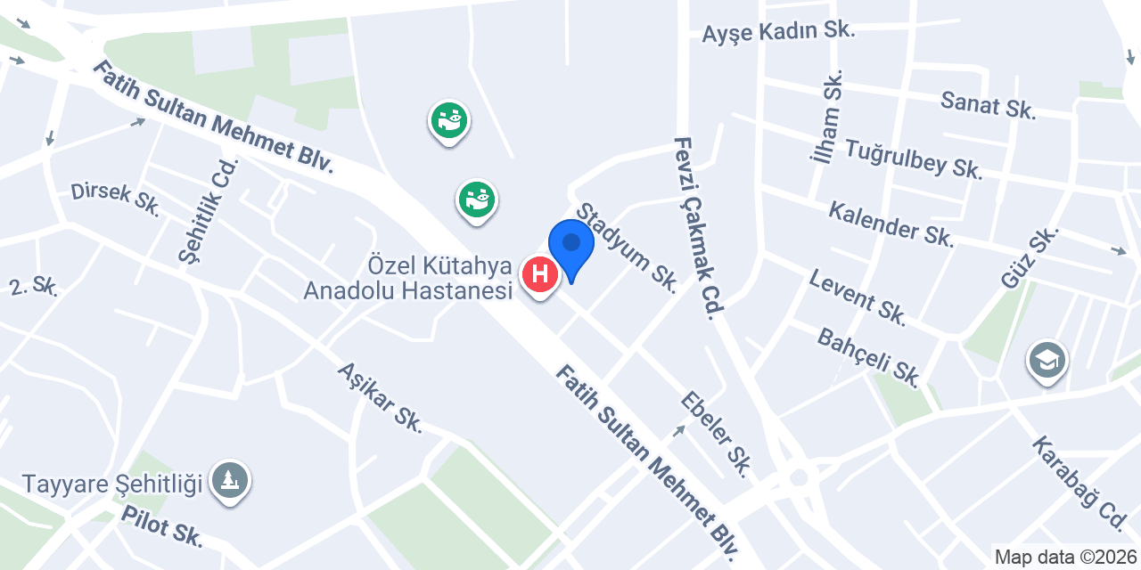 Radikal Çiçekçilik konumu