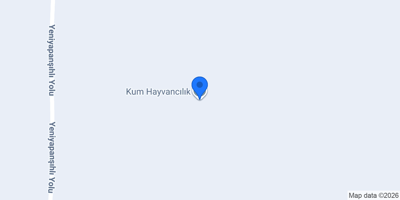 Kum Hayvancılık konumu