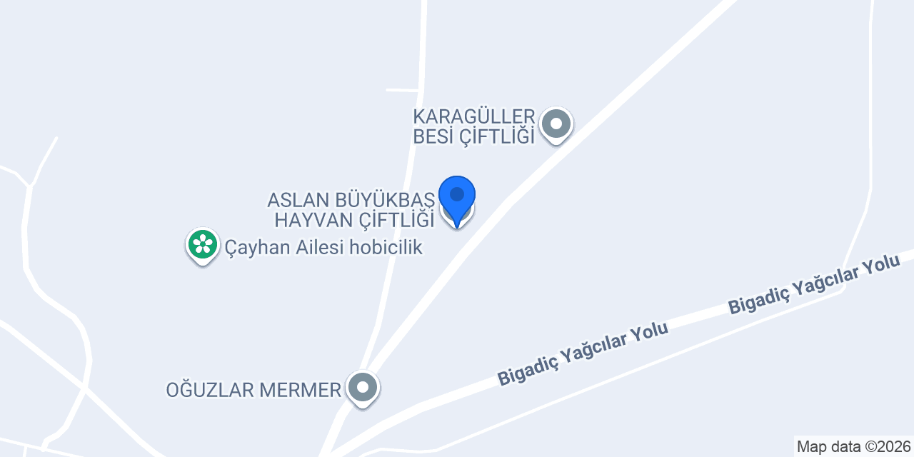 ASLAN BÜYÜKBAŞ HAYVAN ÇİFTLİĞİ konumu