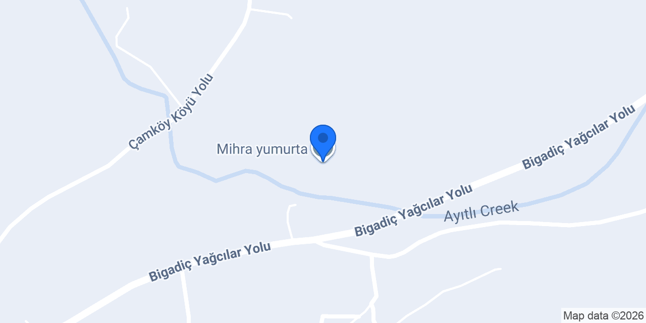 Mihra yumurta konumu