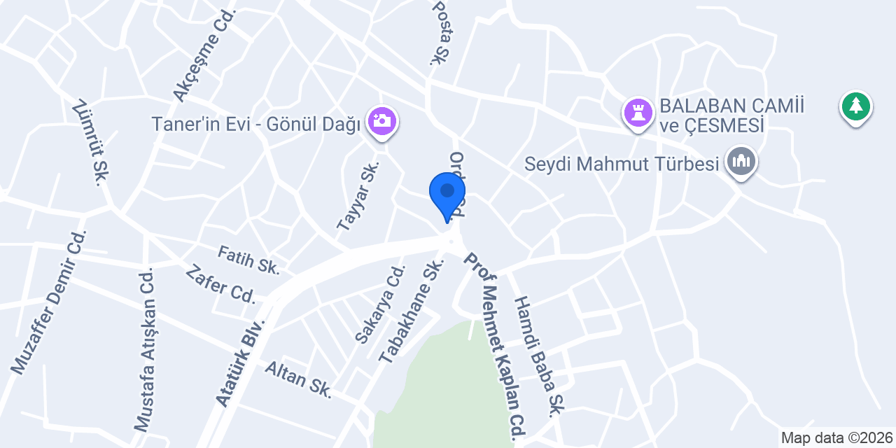 Mersin Tantuni konumu