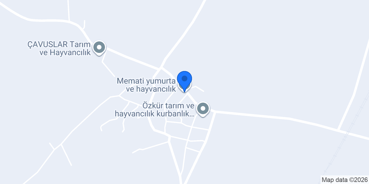 Memati yumurta ve hayvancılık konumu