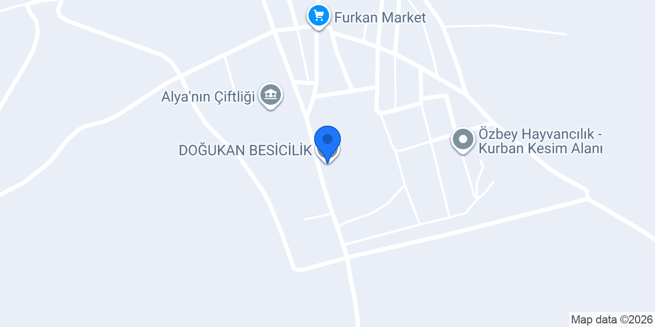 DOĞUKAN BESİCİLİK konumu