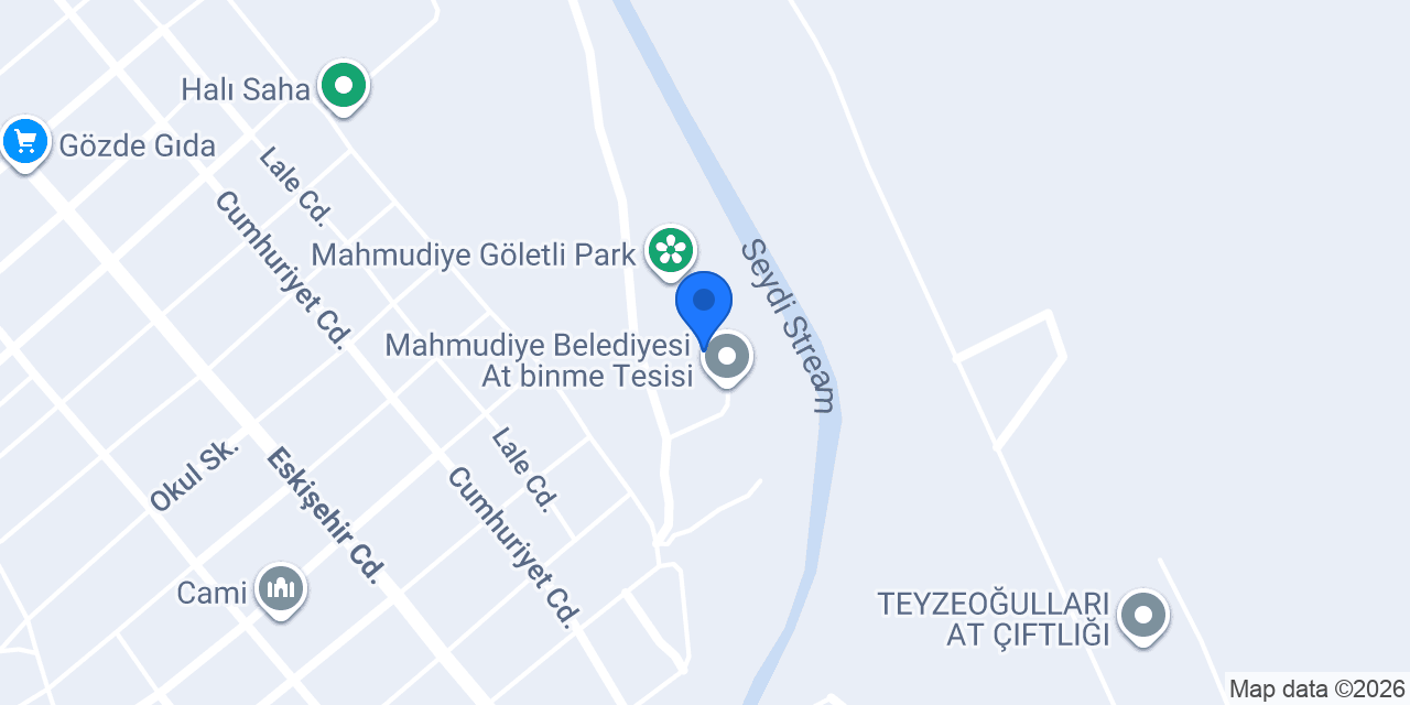 Eskişehir İli Mahmudiye Çifteler Han konumu
