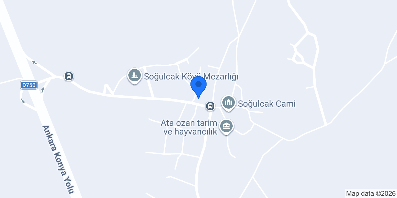 SERHAT BESİCİLİK konumu