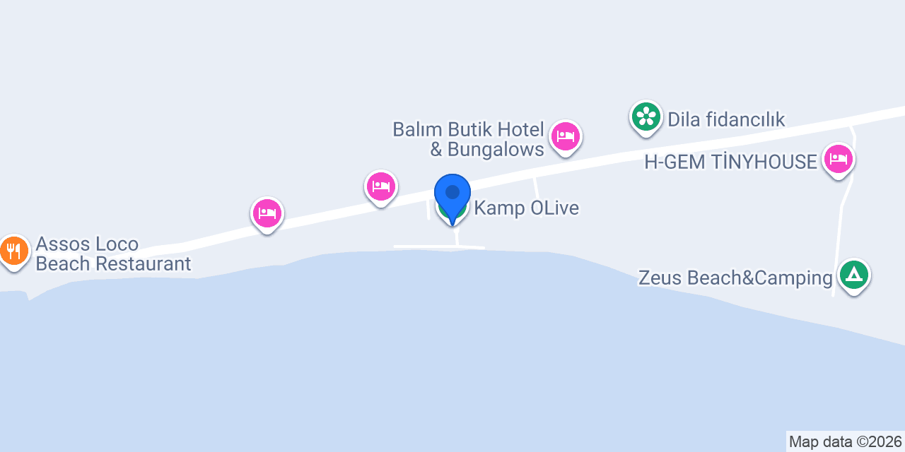 Kamp OLive konumu