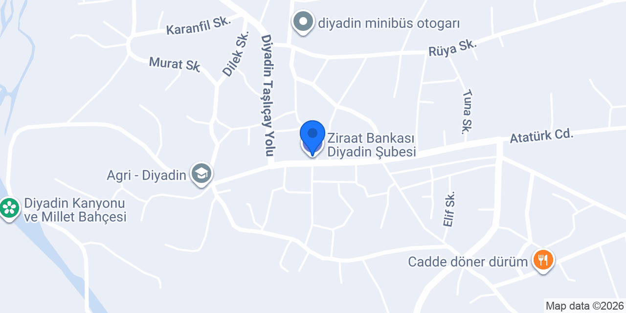 Diyadin Taksi HAKAN SARI konumu