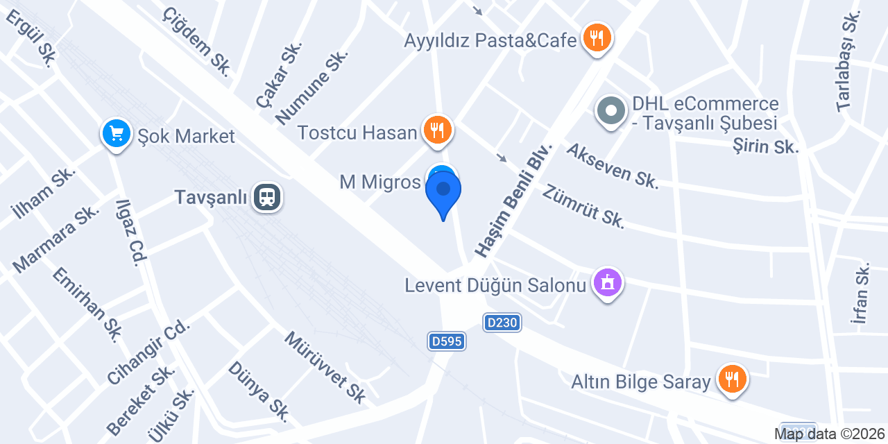Avukat Emine Coşkun konumu