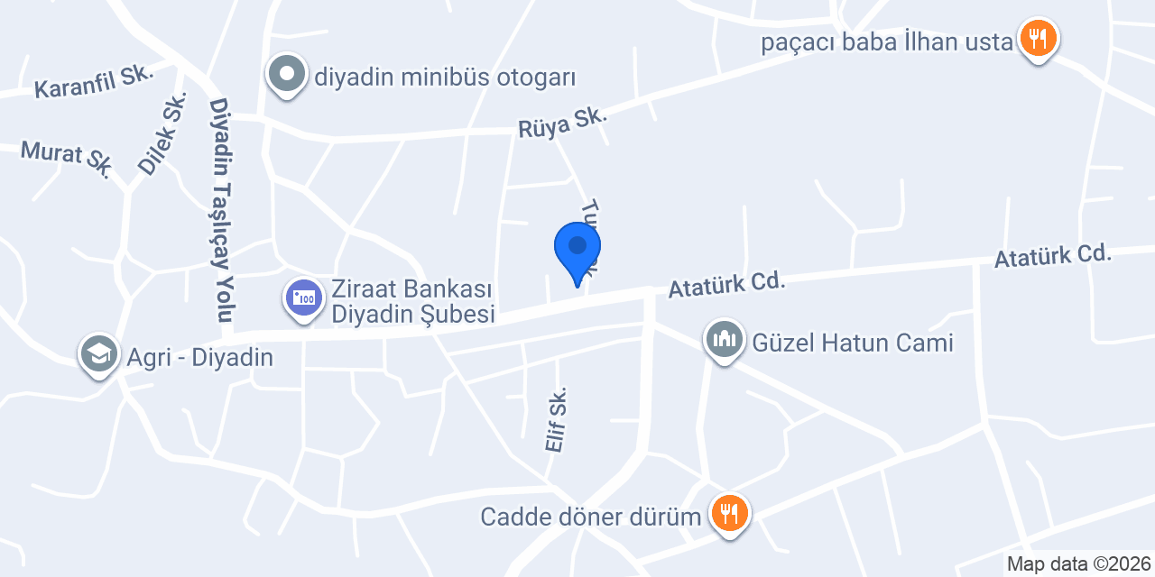 diyadin optik konumu