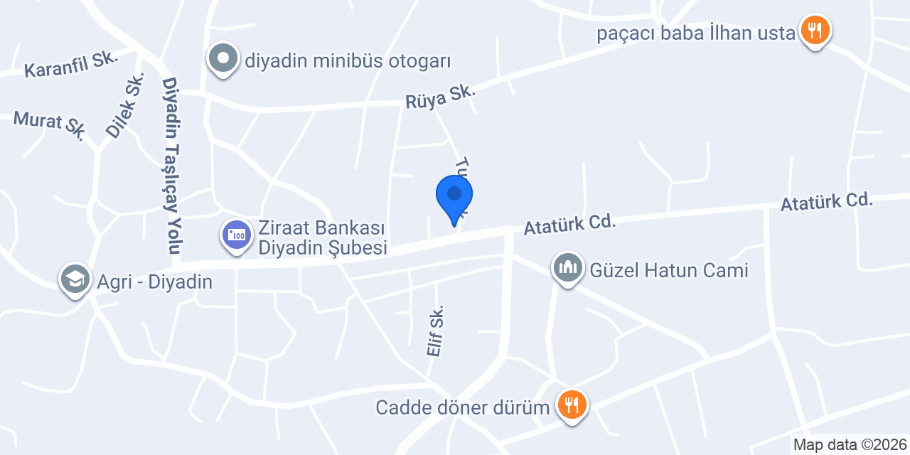 MİR AUTO VE EMLAK konumu