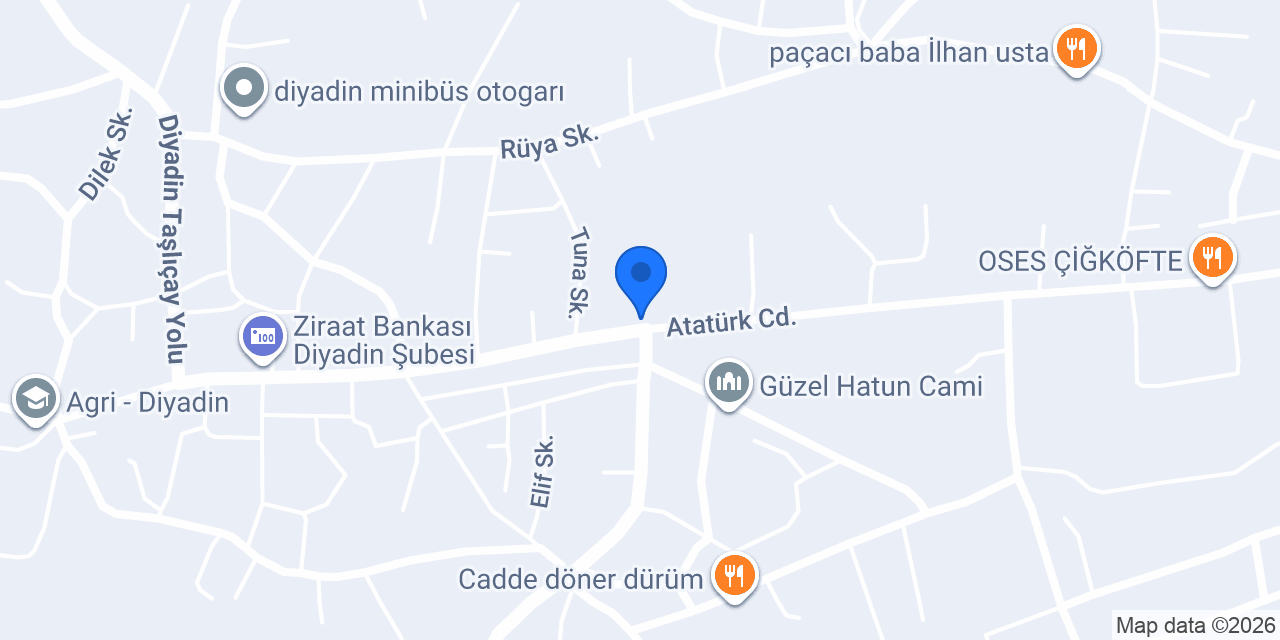 Sürat Kargo Diyadin Şube konumu