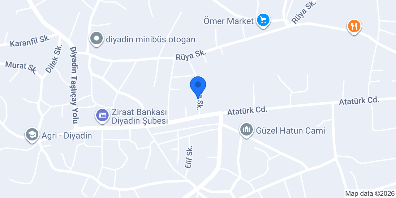 DİYADİN SÜRÜCÜ KURSU konumu