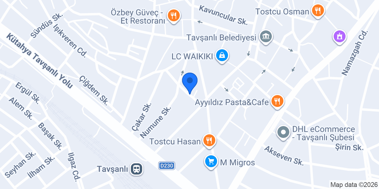Özden Motor Premium konumu