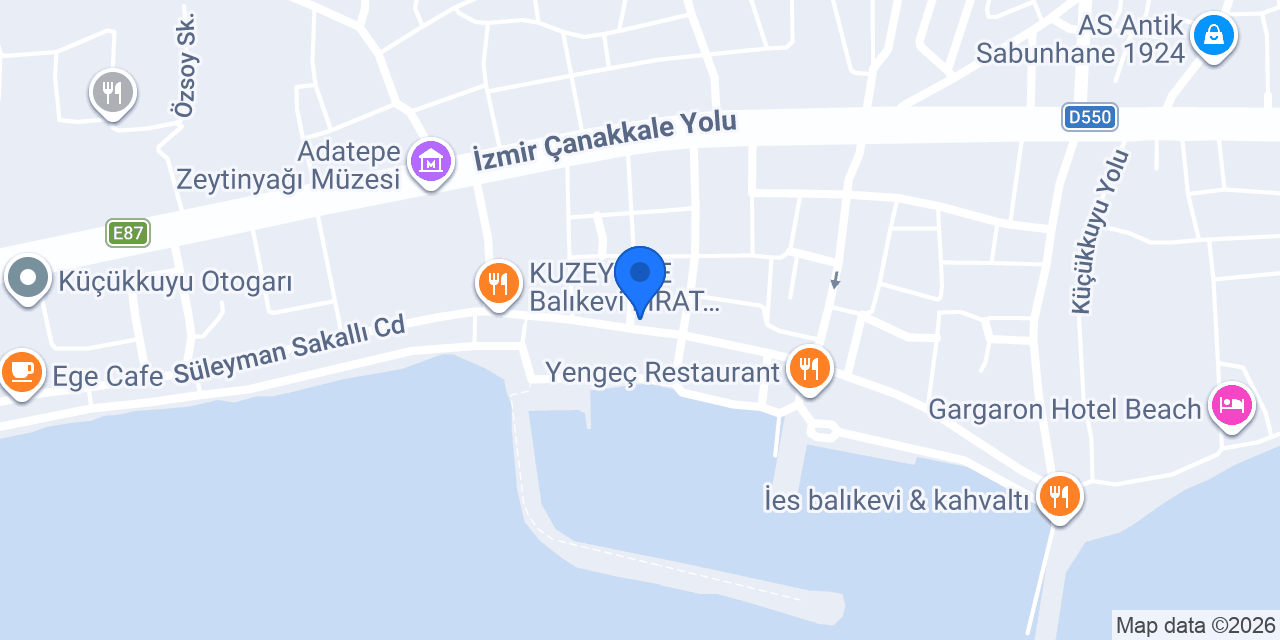 NESS PANSİYON konumu
