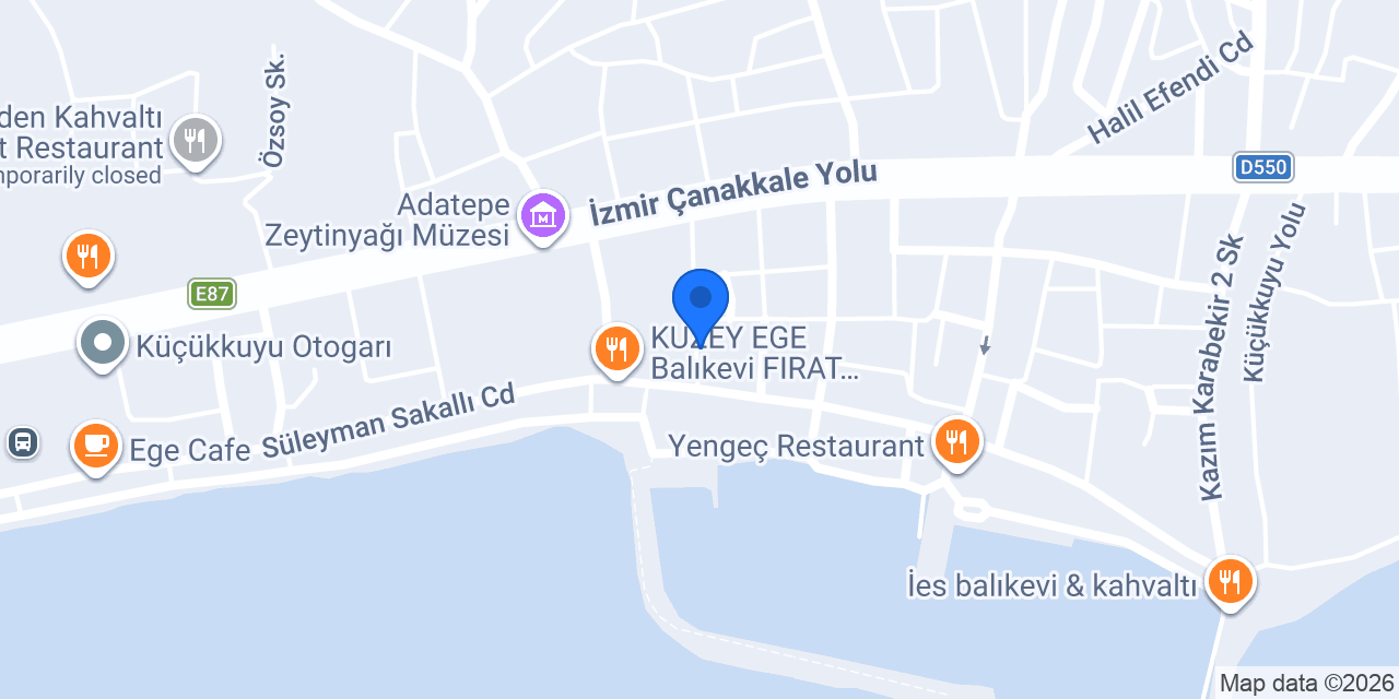 Dünya Elektrik konumu