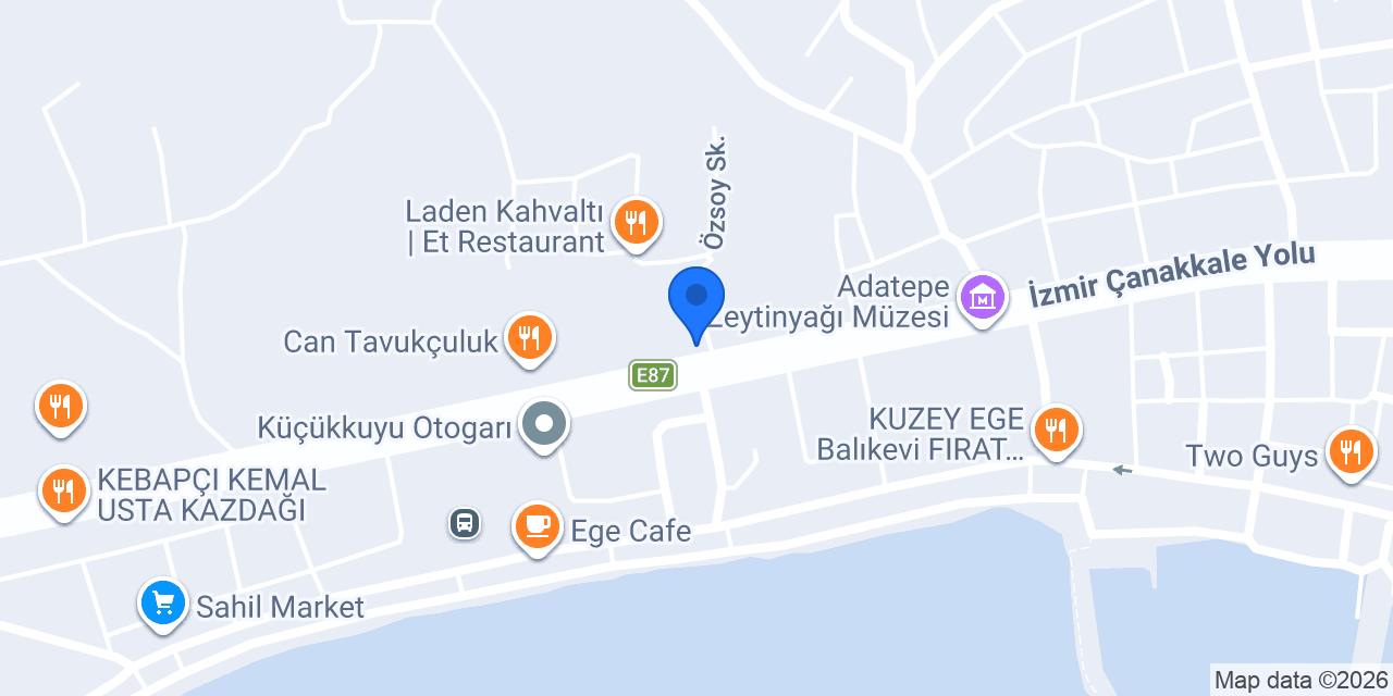 Lame Elektrik konumu