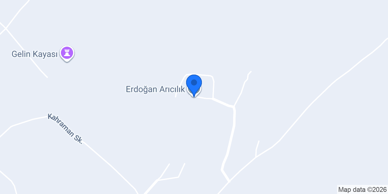 Erdoğan Arıcılık konumu