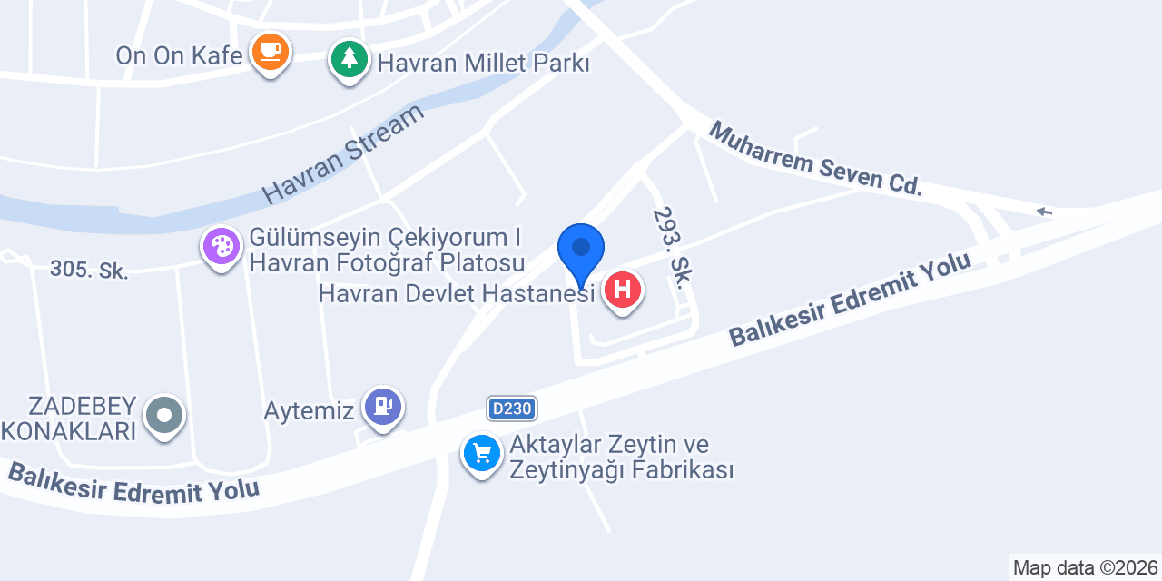 Alyurt Gayrimenkul Havran konumu