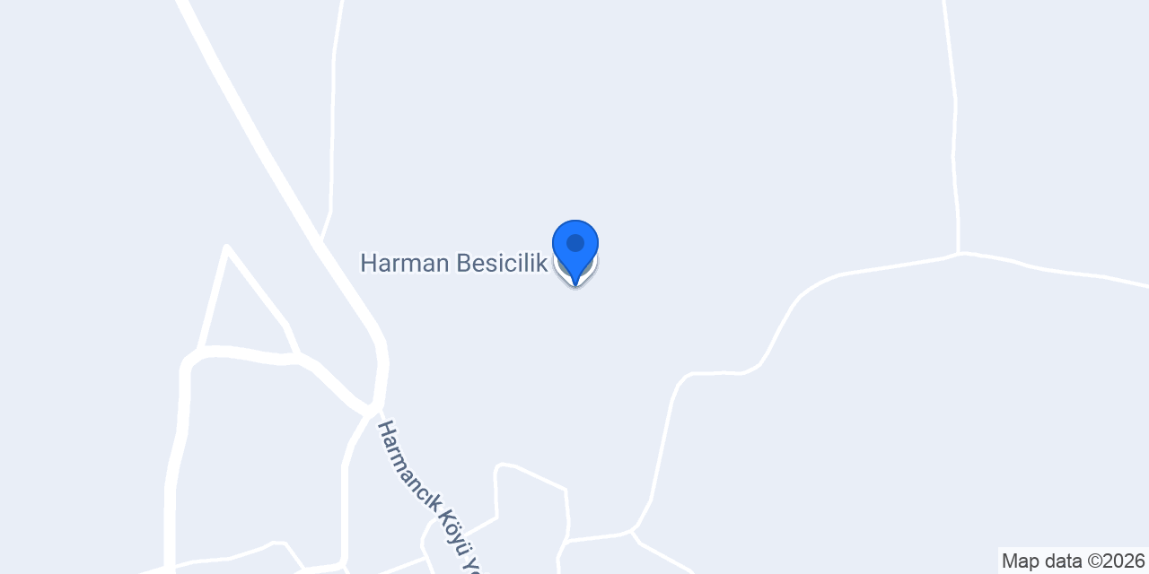 Harman Besicilik konumu