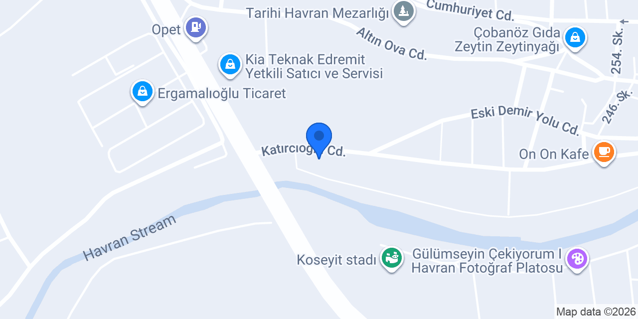 Aslan Tarım & Sebze Ve Meyve Ticareti konumu