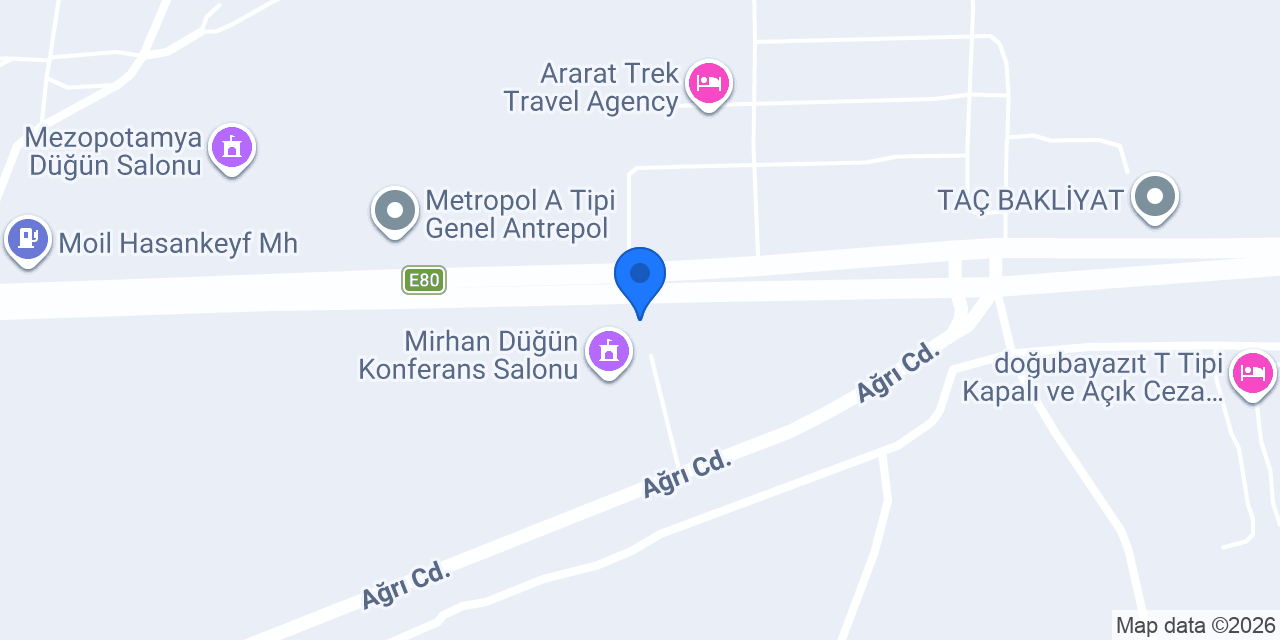 Paradise dış ticaret konumu