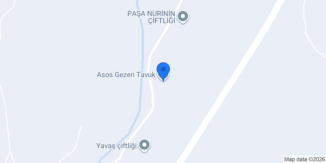 Asos Gezen Tavuk konumu