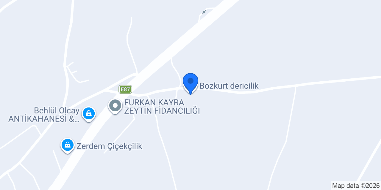 Bozkurt dericilik konumu