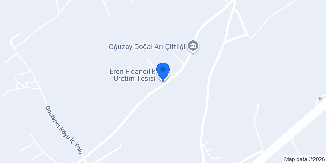 Eren Fidancılık Üretim Tesisi konumu