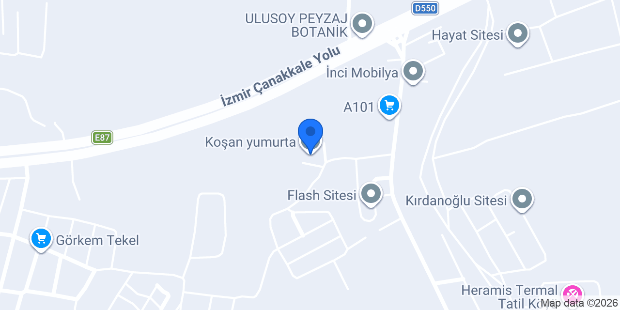 Koşan yumurta konumu