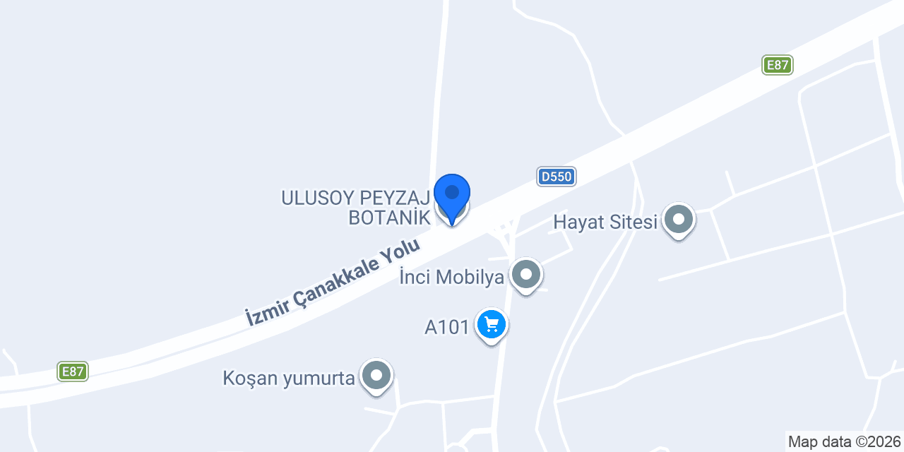 ULUSOY PEYZAJ BOTANİK konumu