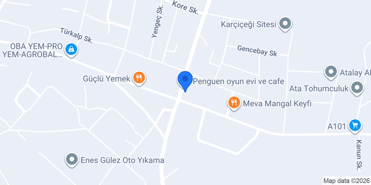 Bohem organizasyon konumu