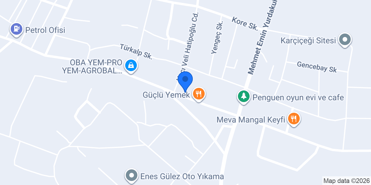 AGROVERİM POLATLI konumu