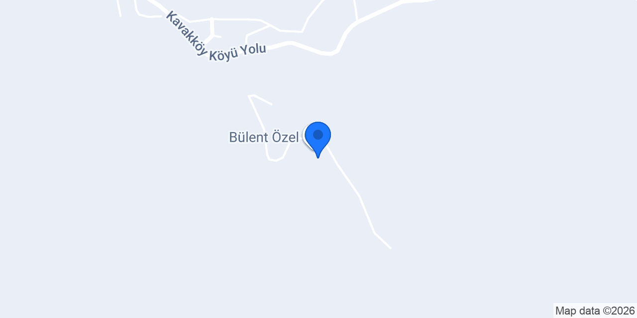Bülent Özel konumu